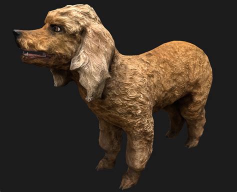 Image result for Cockapoo Terrier Mix