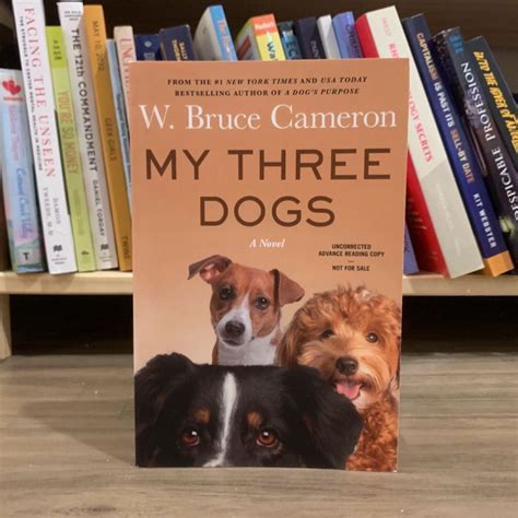 My Three Dogs by W. Bruce Cameron