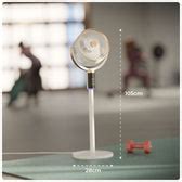 Air Circulator Fan with Oscillation | Gusto – XECH