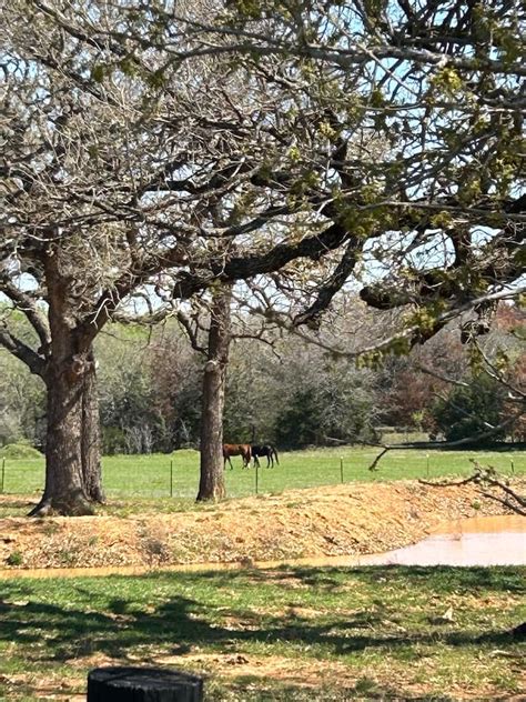 THE SILO in Grandview, Texas - Farm stays for Rent in Grandview, Texas ...