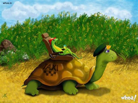 Funny Tortoise Wallpaper For Desktop