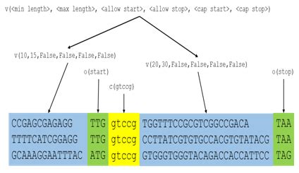 Image result for Random Sequence Generator