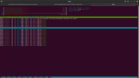 Linux Web Server Setup 的图像结果