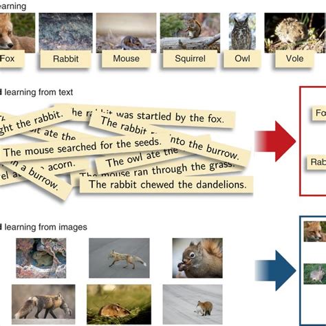 Alphago Reinforcement Learning 的图像结果
