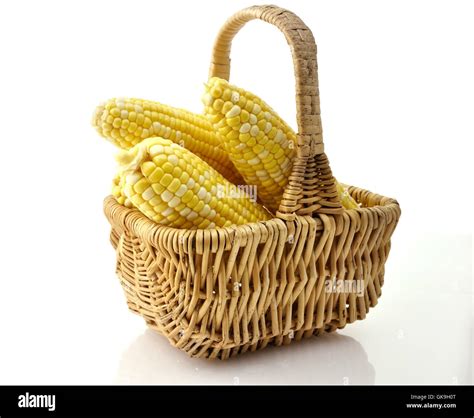 garden harvest basket Stock Photo - Alamy