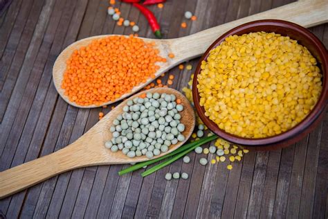 Can Cats Eat Lentils? Vet-Reviewed Nutritional Facts & FAQ - Catster