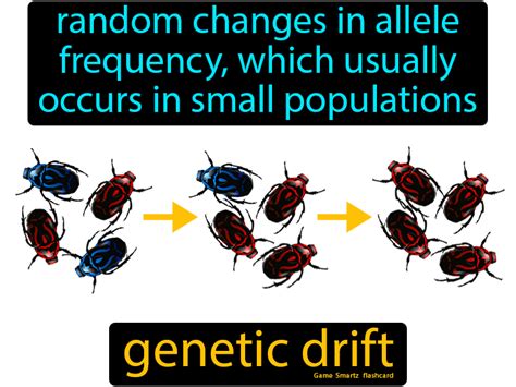 Image result for Genotype Example