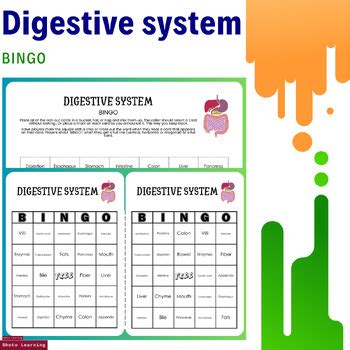 Image result for Digestive System Fun Activities