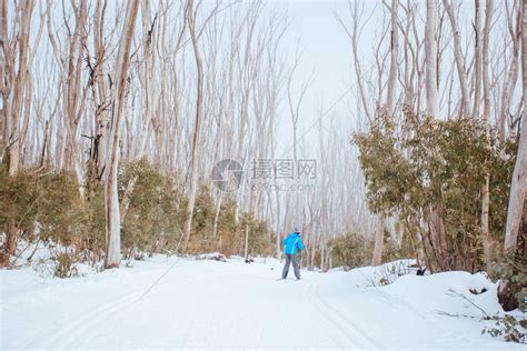 澳大利亚维多利亚湖山冬季中期一条高清图片下载-正版图片504076973-摄图网