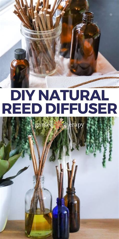 Image result for Homemade Diffuser Solution