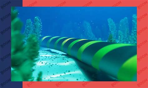 Meta’s Ambitious Subsea Cable to Connect US, India, and Beyond