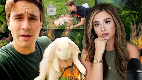 Jacob Feder Lemur 的图像结果