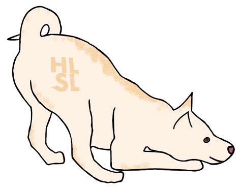 Image result for Hlsl Tutorial C