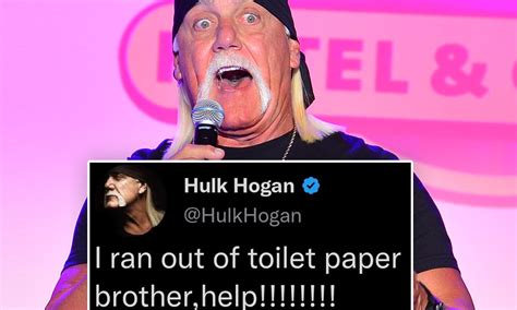 Hulk Hogan Brother Meme