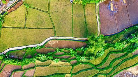 High Resolution Agriculture 的图像结果