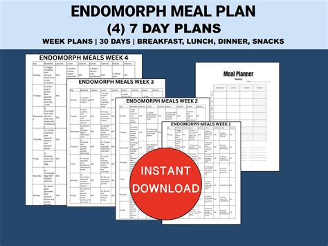 Endomorph Meal Plan PDF Printable Diet Plan Breakfast, Lunch, Dinner ...