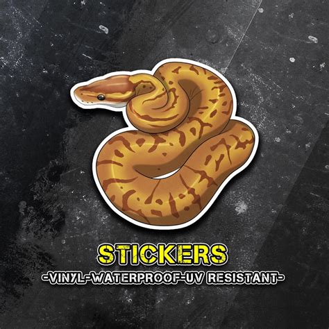 Image result for Clown Ball Python Sticker