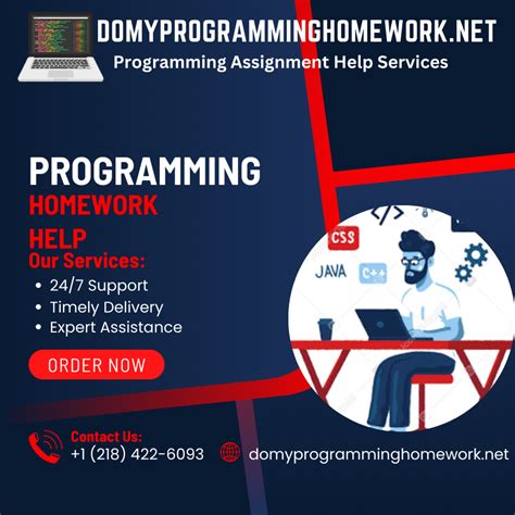 Image result for Programming Homework Help