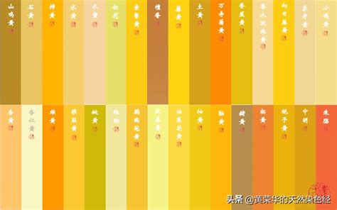 黄色有多少种颜色分别叫什么，中国传统黄色色谱96色-万网时代