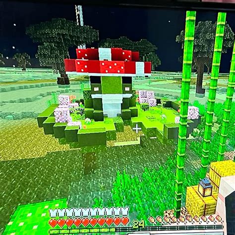 Image result for Frog Colors Minecraft