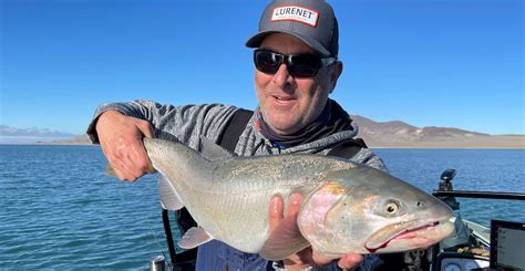 Lahontan Cutthroat Trout Pyramid Lake