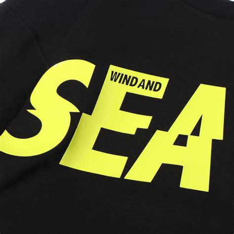 PUMA X WIND AND SEA LS TEE Puma Black 22SP-I（プーマ ウィンドアンドシー ロングスリーブ ティー ...