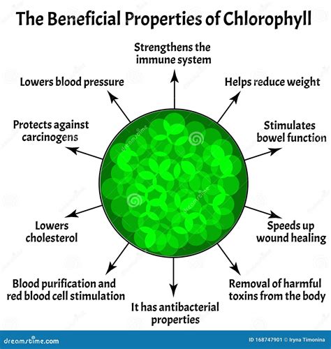 Chlorophyll B Structure Royalty-Free Stock Image | CartoonDealer.com #84224470