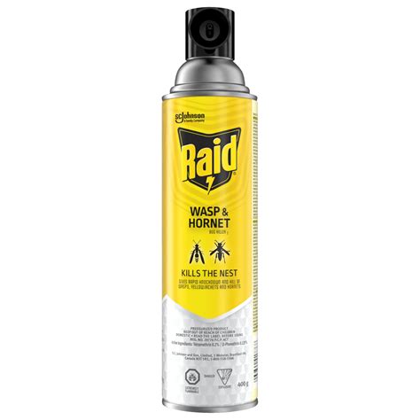 Raid Wasp and Hornet Killer Wasp Killer Spray for Home Use Kills Bugs ...