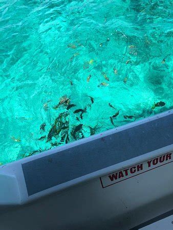 Lucaya Watersports (Freeport) - 2022 What to Know Before You Go (with ...