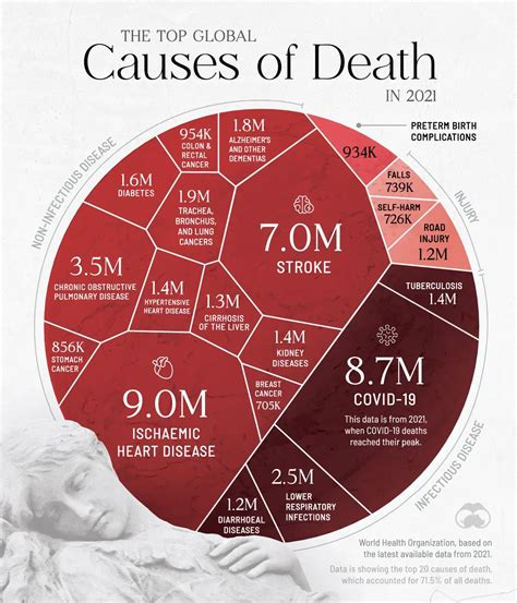 Understanding The Common Causes Of Death In Horses