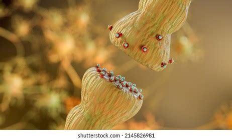 Synapse Permban Script 的图像结果