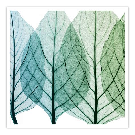 Celosia Leaves I – Calcuttan
