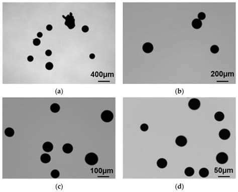 Effect of Preparation Process on the Microstructure and Characteristics ...