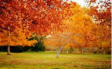 Nature High Resolution Fall Desktop Backgrounds by Wallpapers Nature Size Desktop 2015 Wallpaper Cave Nature High Resolution Fall Desktop Backgrounds