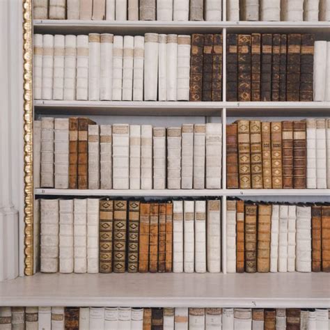 Library Meaning 的图像结果