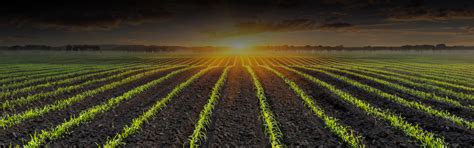 Plastiblends India Limited