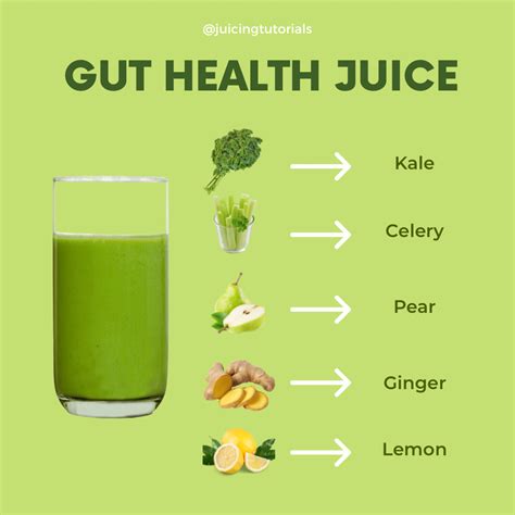 Juice for Gut Health | Health juice recipes, Natural juice recipes, Healthy juicer recipes