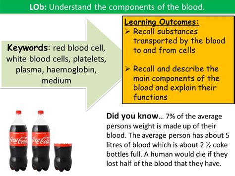 Free Science Lessons Blood 的图像结果