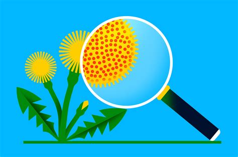 Debunking the Myth: Can Allergies Really Cause Fever? - Flash Uganda Media