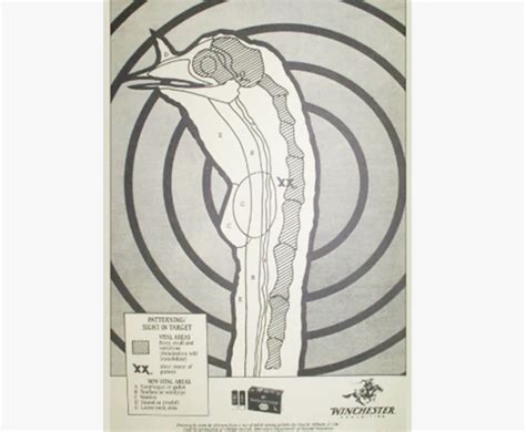 The Most In-Depth Turkey Load Lethality Test of All Time | Outdoor Life