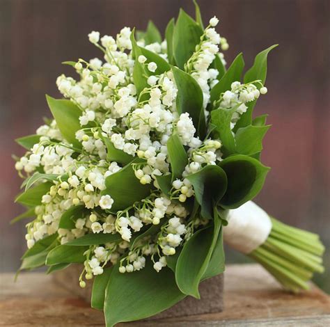 Beautiful Wedding Bouquet Of: White Lily Of The Valley + Foliage ...