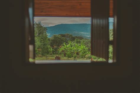 Image result for Window Outside View