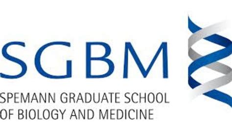 Applications now open for fully funded PhD scholarship at Germany's ...