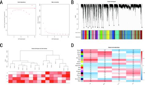 Comparative Analysis of the Liver Transcriptome of Beijing You Chickens ...