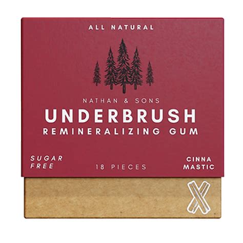 Remineralizing Chewing Gum, All Natural Organic Mastic Cinna ...