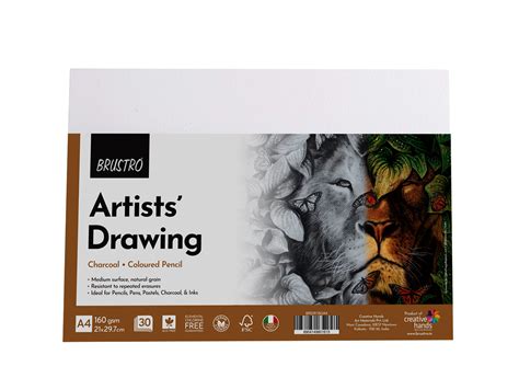 BRUSTRO Artist's Drawing Papers | 160 GSM, A4, Pack of 30 Sheets | Ide ...