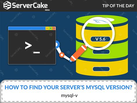 MySQL Version Check 的图像结果
