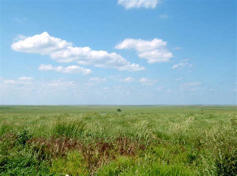 Grassland 的图像结果