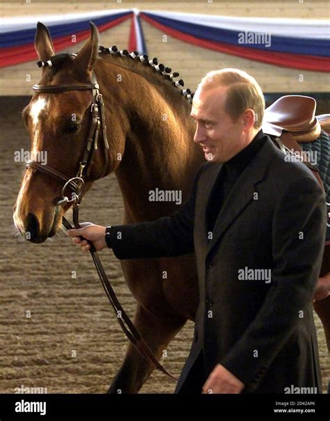 Vladimir putin horse hi-res stock photography and images - Alamy