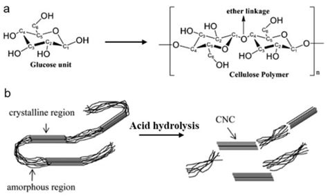 Advances in Functional Cellulose Hydrogels as Electrolytes for Flexible ...